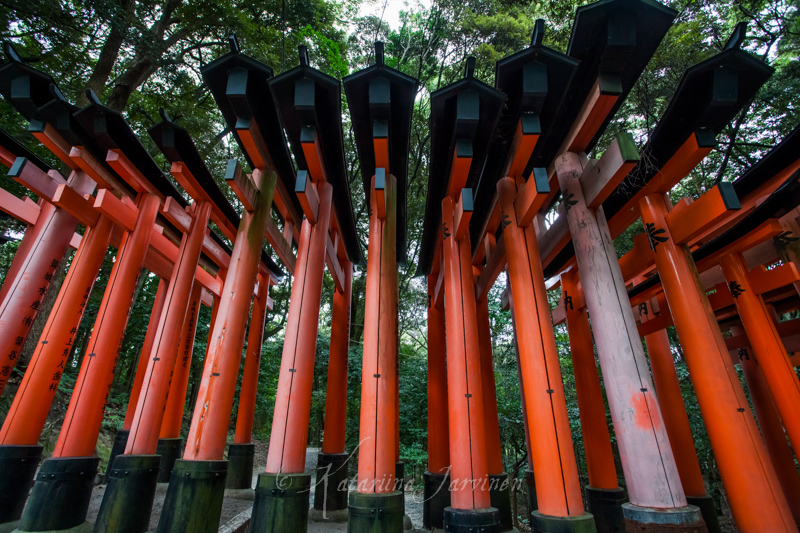 Torii shrine